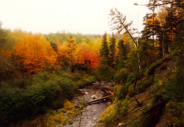 Edging around a river.