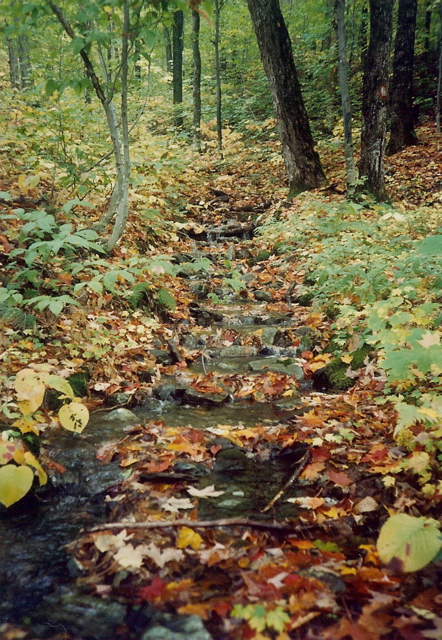 Entering the Hundred Mile Wilderness