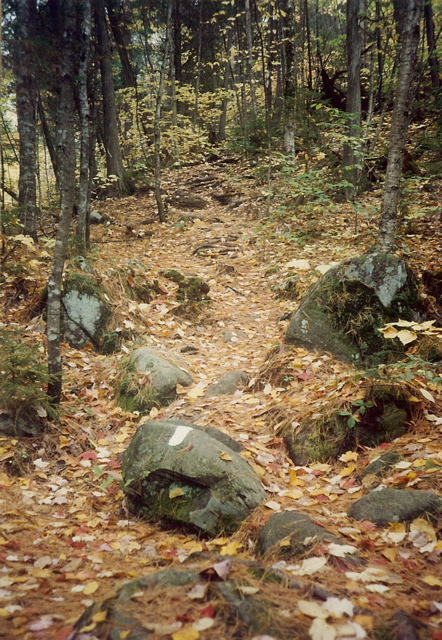 Heading up to Barren Mountain