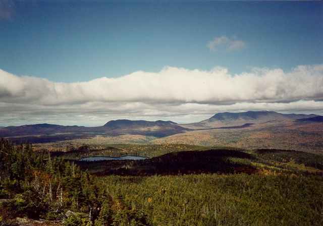 View from Chairback