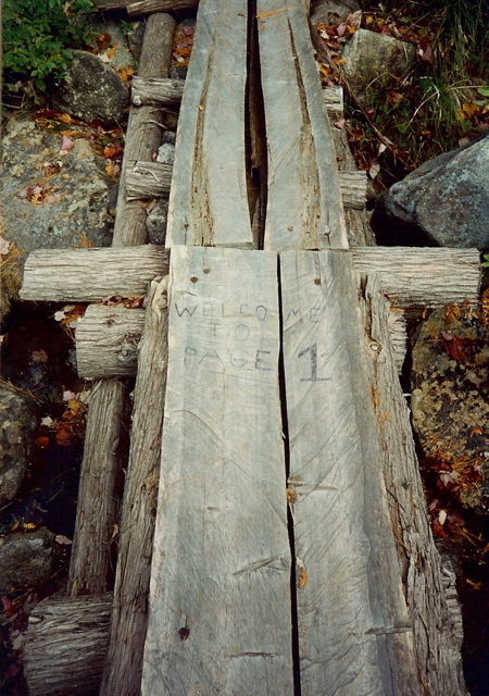 Mud Pond (outlet), Oct 3