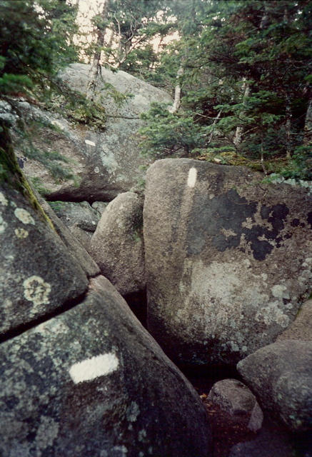 Climbing up to treeline