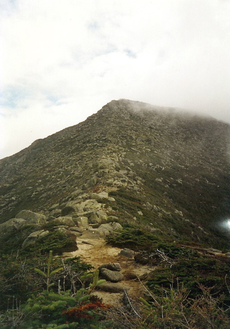 Treeline on Katahdin