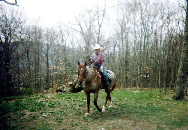 Horse and Rider