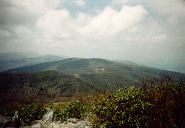 Looking west in the Smokies