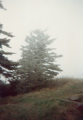 Rime ice at the top of Roan