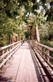 Creeper Trail bridge in Damascus