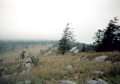 Thomas Knob Shelter