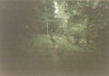 Heading toward Doyles River Cabin - Southbound Deer