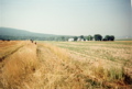 Cumberland Valley, July 6