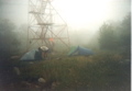 Catfish Firetower, NJ, July 23