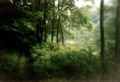 Hiking the Connecticut River