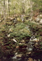 Waterfalls near Wintturi Shelter