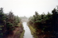 Approaching crest of Moosilauke