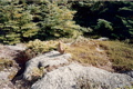 Grouse, Kinsmen summit