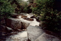 Mt Guyot stream