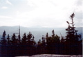 2/3rds up Crawford Notch