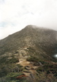 Treeline on Katahdin